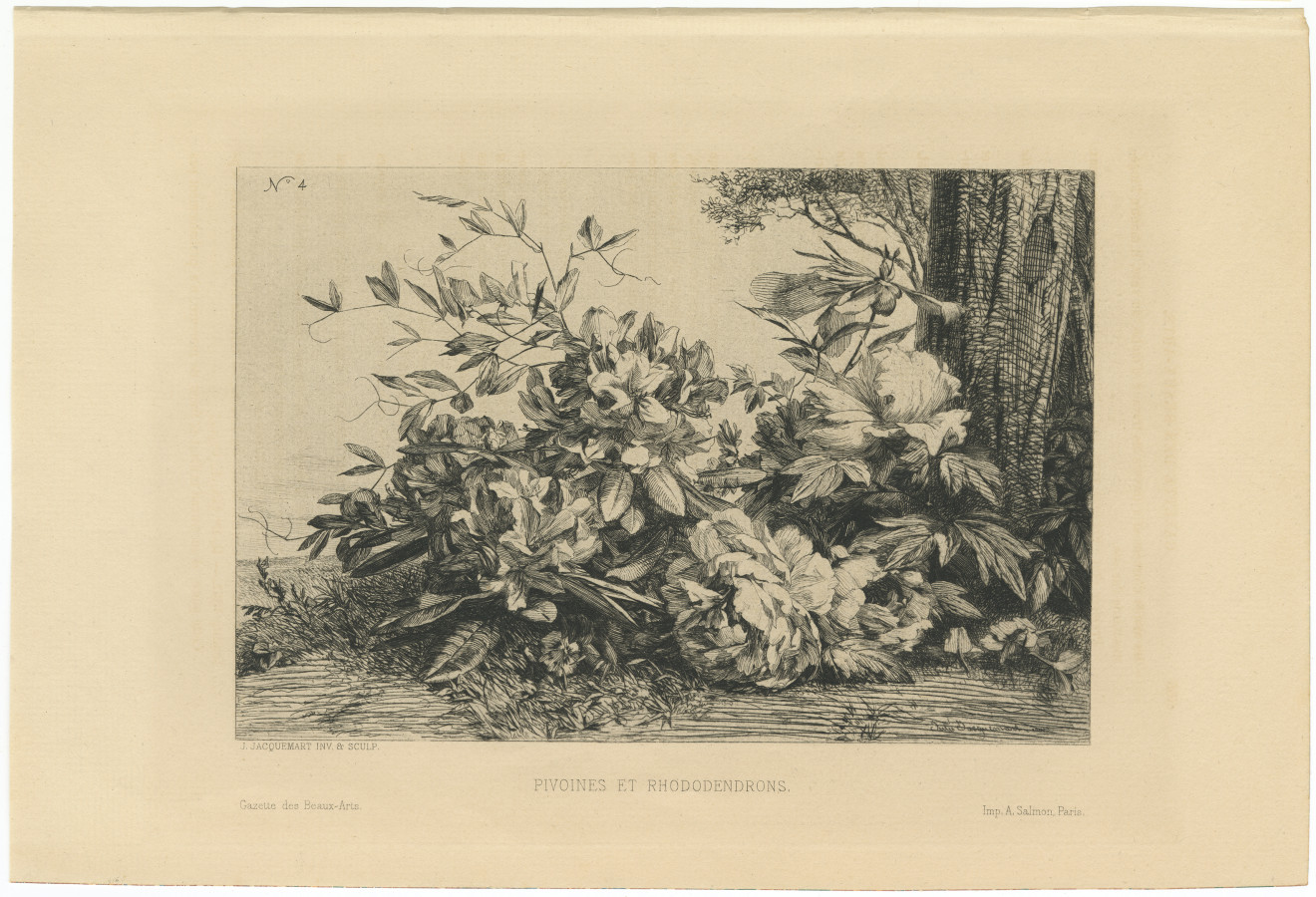 Pivoines et Rhododendrons